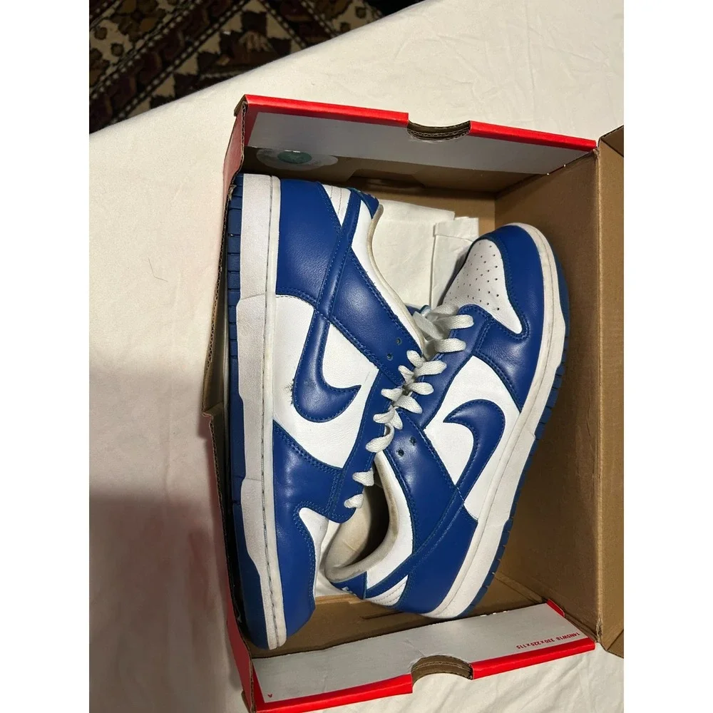 Size 10.5 - Nike Dunk Low Retro SP 2020